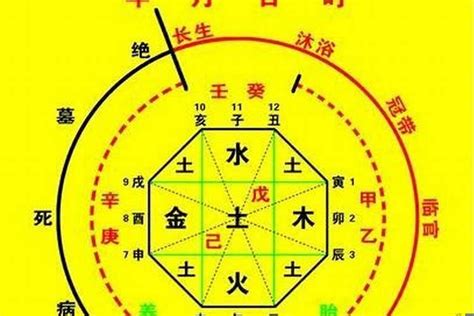 八字 五行|生辰八字算命、五行喜用神查詢（免費測算）